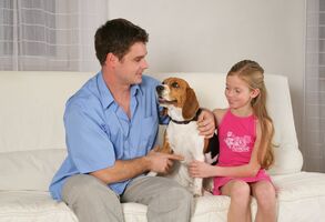 Průzkum spokojenosti zákazníků 2013