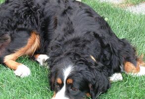 Podpořili jsme vznik 22 nových pracovních míst