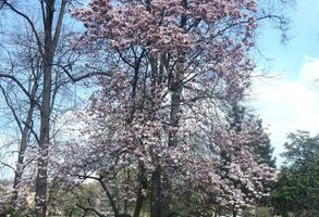 Podpořili jsme vznik 15 nových pracovních míst