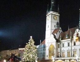 Veolia Energie věnovala vánoční strom Olomouci