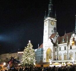 Veolia Energie věnovala vánoční strom Olomouci