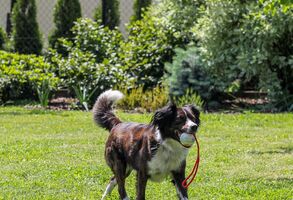 Nadační fond podpořil vznik 27 nových pracovních míst v Moravskoslezském kraji