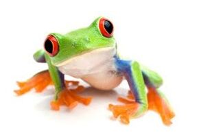 Získali jsme ocenění za nejlepší zprávu o CSR aktivitách