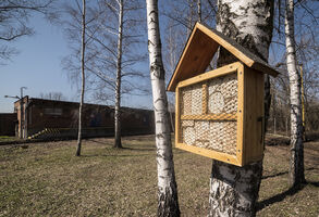 V ostravských teplárnách se zabydlují ptáci 