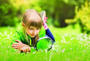 Objevte Tajný život města s aplikací Pl@ntNet