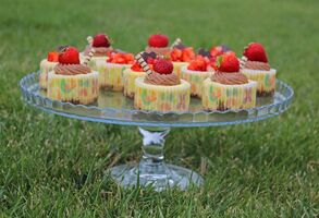 Nadační fond Veolia podpořil vznik dalších 22 nových pracovních míst