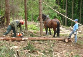 Nadační fond Veolia podpoří nové podnikatelské záměry