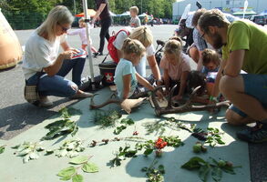 MiNiGRANTY 2020 jsou rozděleny! Letos darujeme 2,5 milionu na pomoc neziskovkám