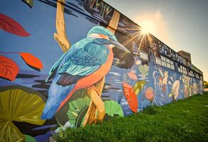 Výměníková stanice Pražské teplárenské ze skupiny Veolia se proměnila v mokřad plný vodního ptactva