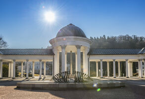 VEOLIA JIŽ TRADIČNĚ PODPOŘILA ZAHÁJENÍ LÁZEŇSKÉ SEZONY V MARIÁNSKÝCH LÁZNÍCH