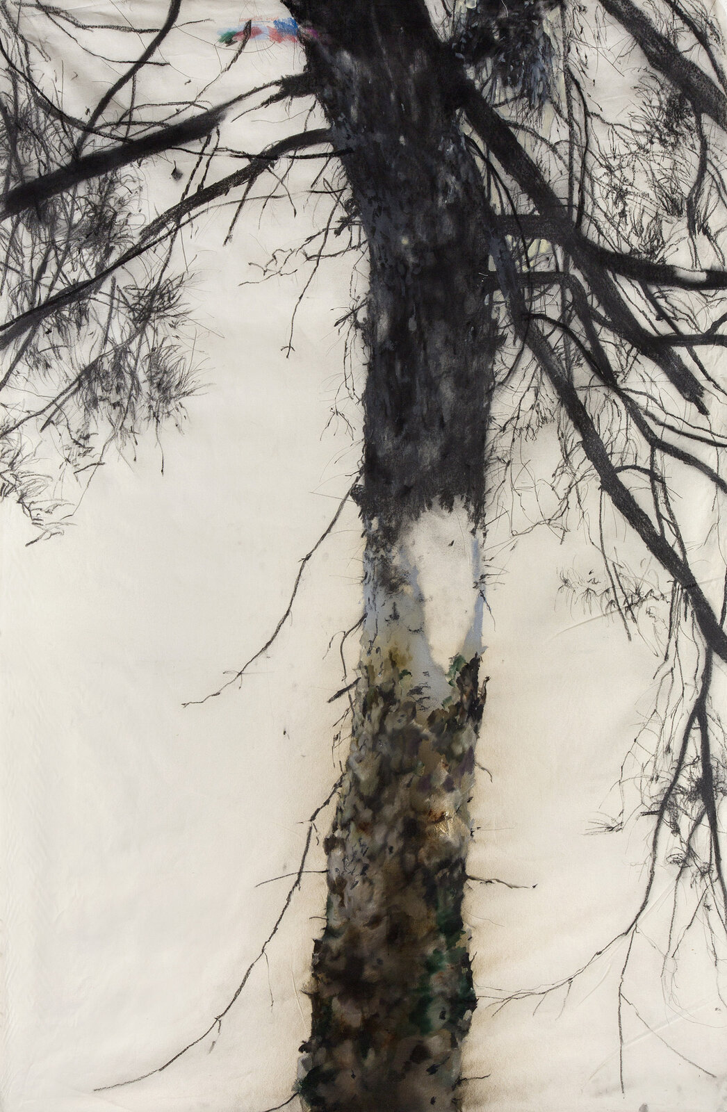 Portrait of a Hungry Tree, 240 x 150 cm, grafit,uhlík a olej na plátně, 2020 Portrait of a Hungry Tree, 240 x 150 cm, grafit,uhlík a olej na plátně, 2020