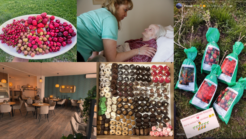 STARTér: rozvoj řemesel, tradičních farem i sociálních podniků